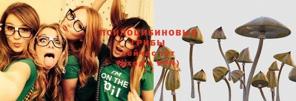 бошки Пролетарск