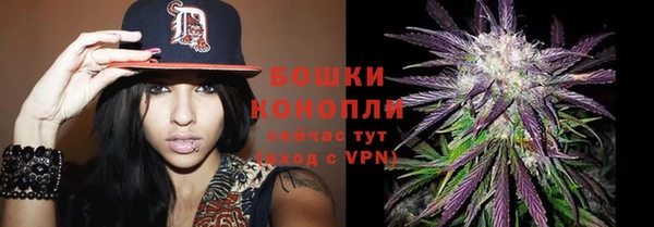гидра Приозерск