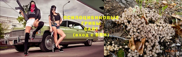 jwh Протвино