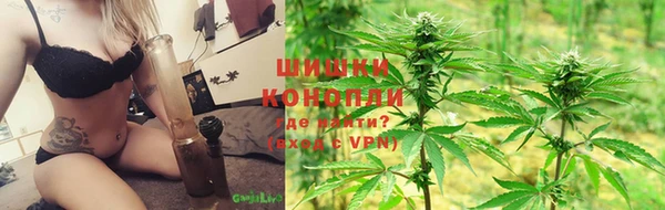 гидра Приозерск