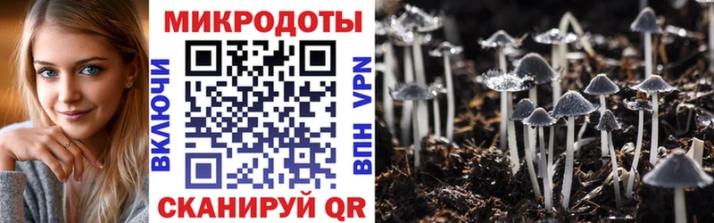 МЕГА ССЫЛКА  Снежногорск  Псилоцибиновые грибы мицелий 